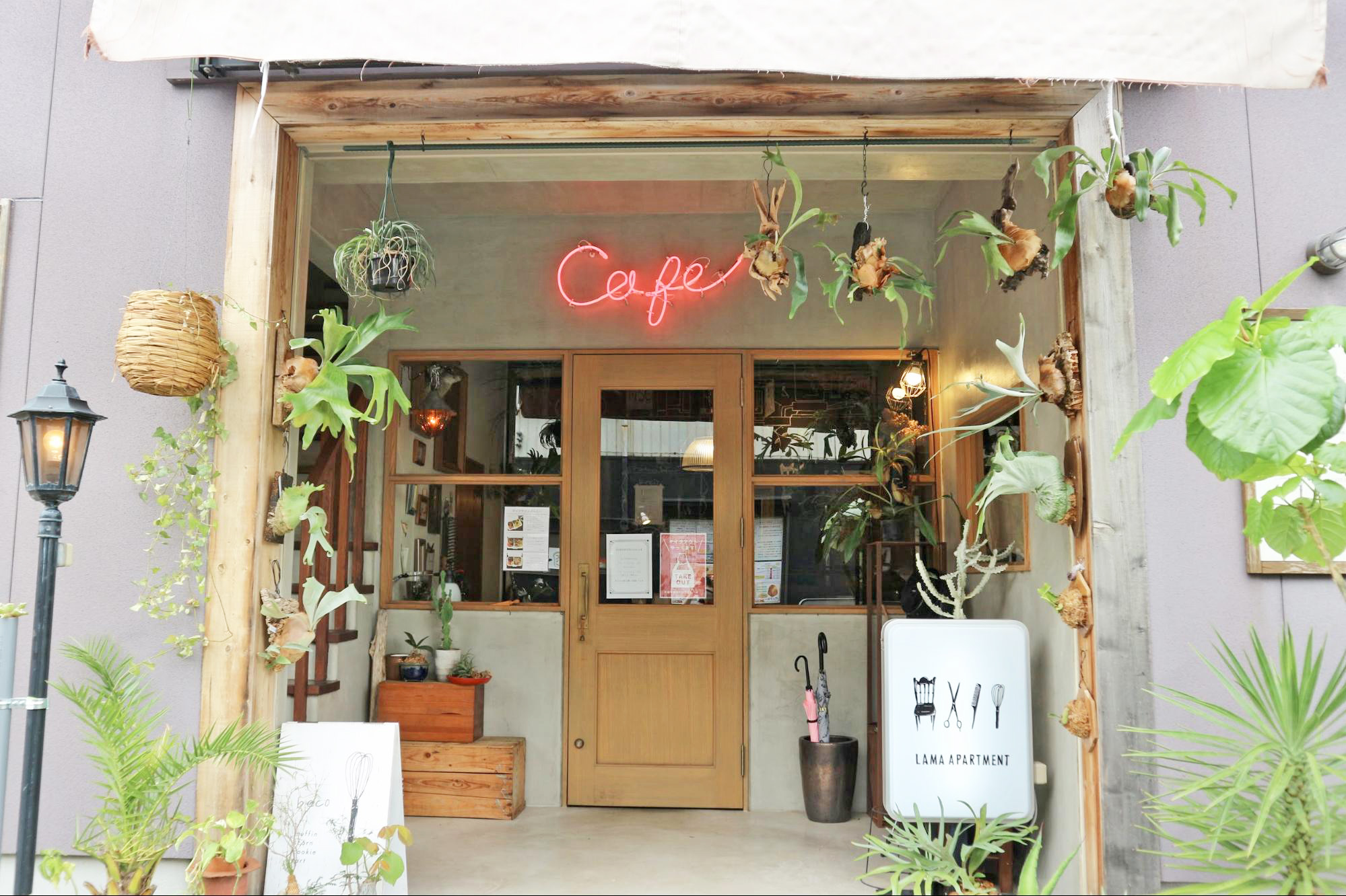 Cafe Lama カフェラマ 店主のこだわりが詰まった 植物に囲まれほっと一息付ける刈谷市のカフェ ライフデザインズ