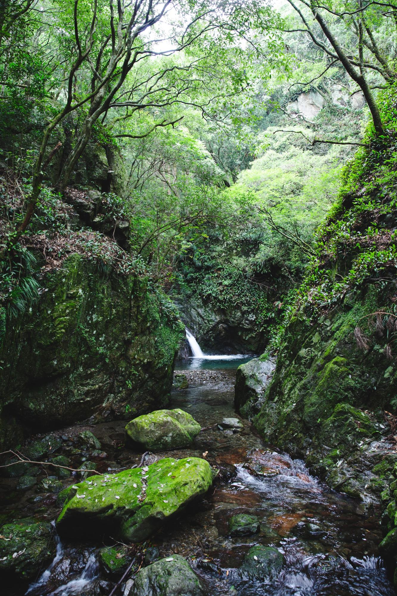 東宮不動の滝