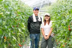 トマトを通じて、人とのつながりをつくる。 「なかがき農園」の毎日食べたくなるトマト