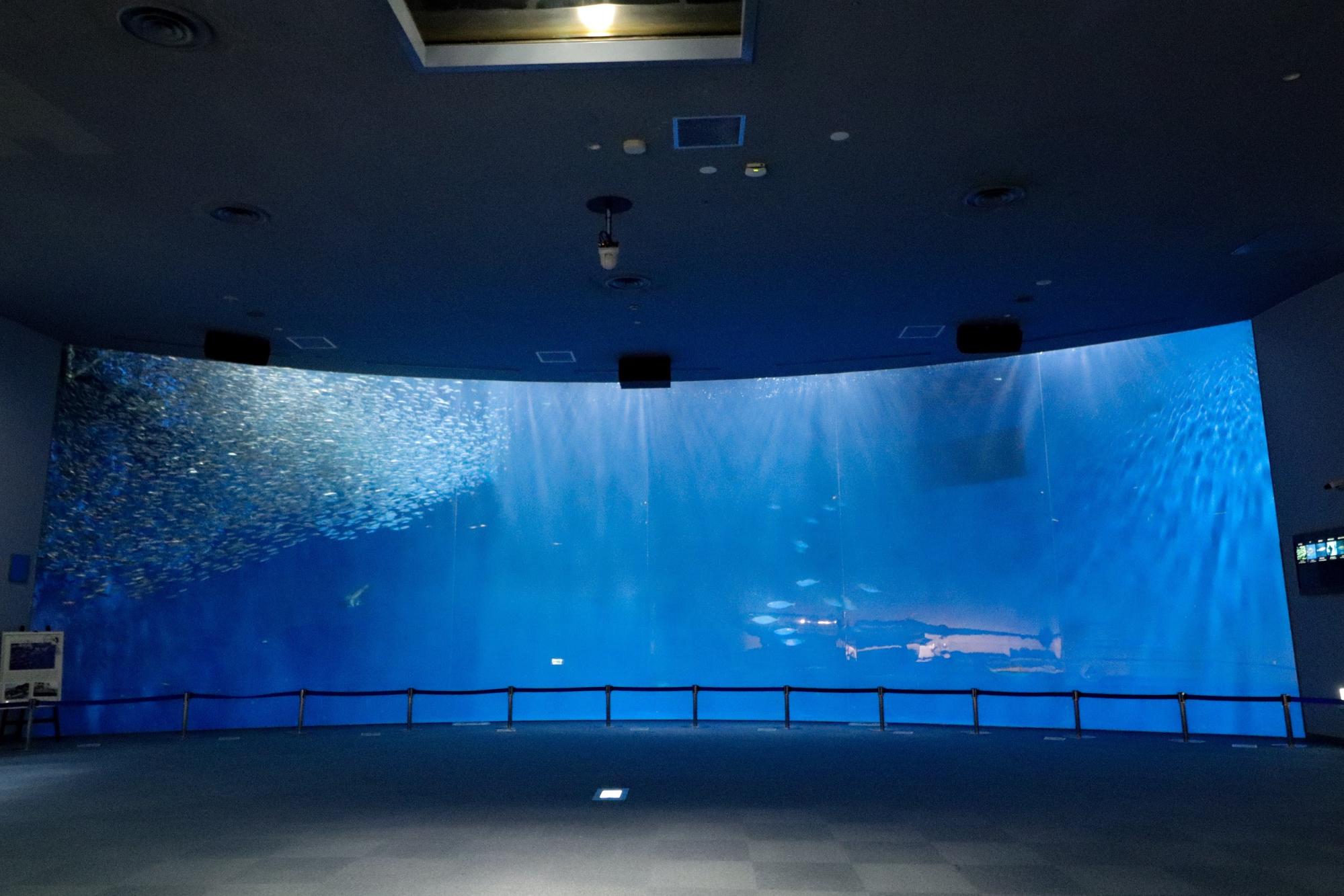 名古屋港水族館の楽しみ方を徹底レポート 約500種5万匹 世界中の海の仲間に出会える水族館 ライフデザインズ