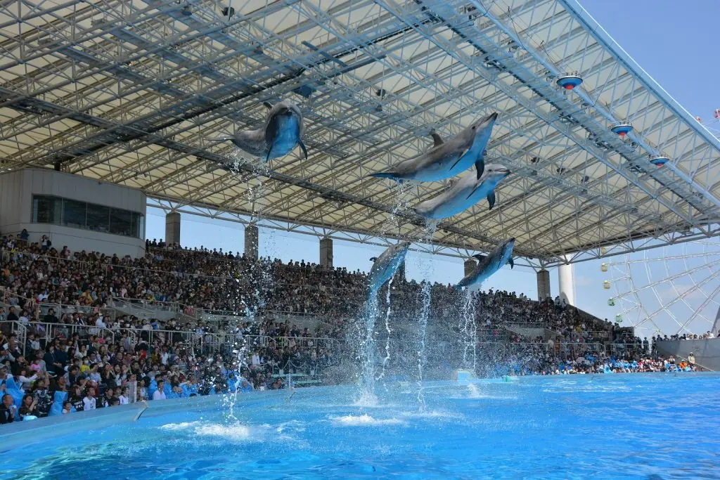 Port of Nagoya Public Aquarium: An Aquarium where You can Meet Sea Friends from All Over the World