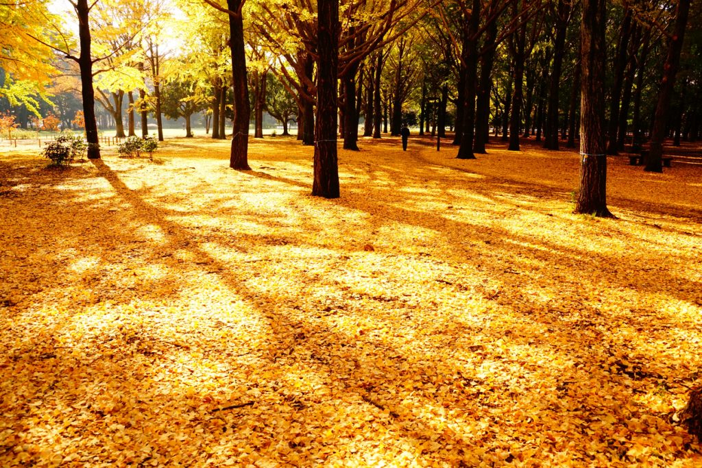 【読書好きスタッフが選ぶ、10月に読みたい1冊】今月のテーマは、”アートがもっと好きになる一冊”