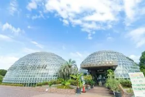 フルーツをテーマにした農業公園「東谷山フルーツパーク」。収穫体験〜グルメまで、親子で楽しめる魅力が満載!
