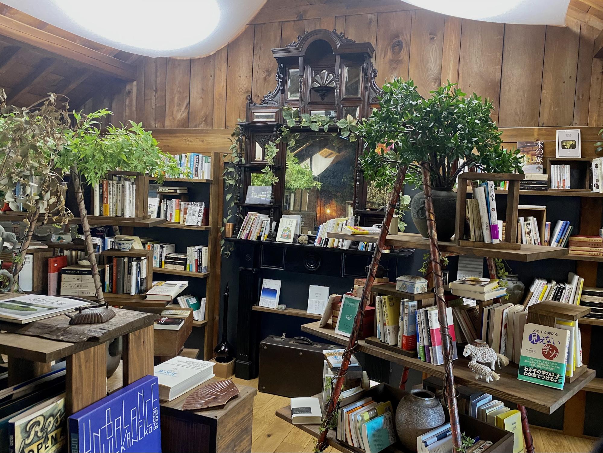 Forest bookstore that travels with books