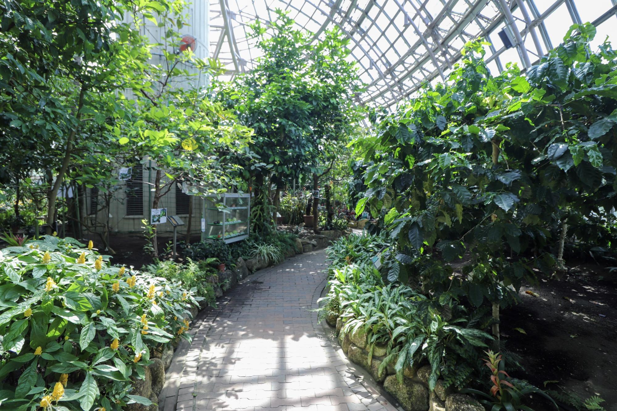 世界の熱帯果樹温室