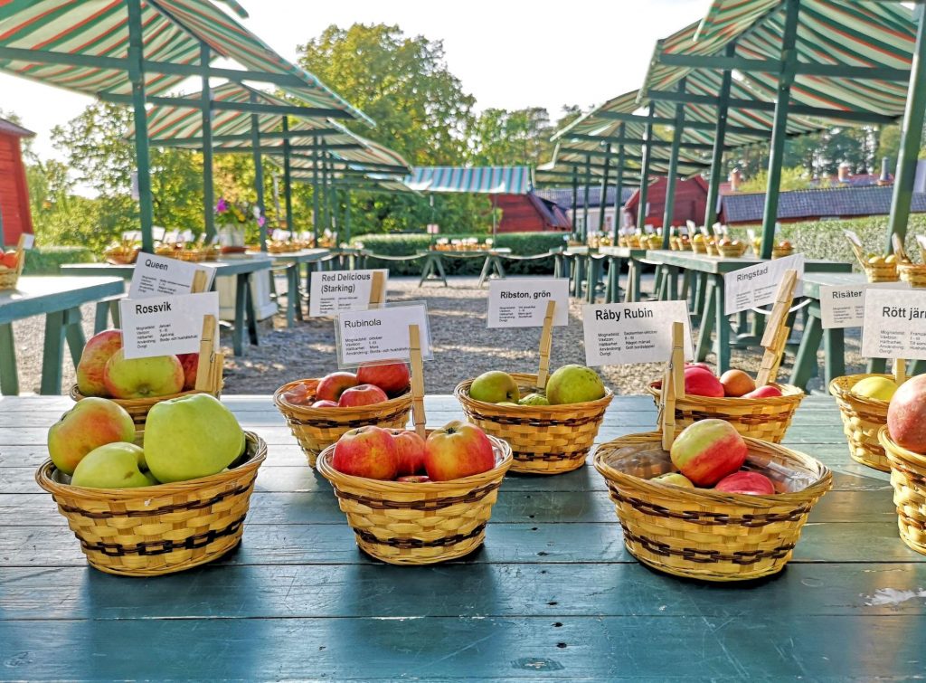【スウェーデンの暮らし】秋の味覚、りんごの祭典 Äpple Dagar