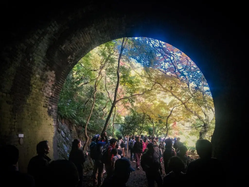 9日だけ見られる秋の絶景。「愛岐トンネル群 秋の特別公開」に行ってきました!