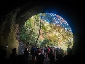 9日だけ見られる秋の絶景。「愛岐トンネル群 秋の特別公開」に行ってきました!