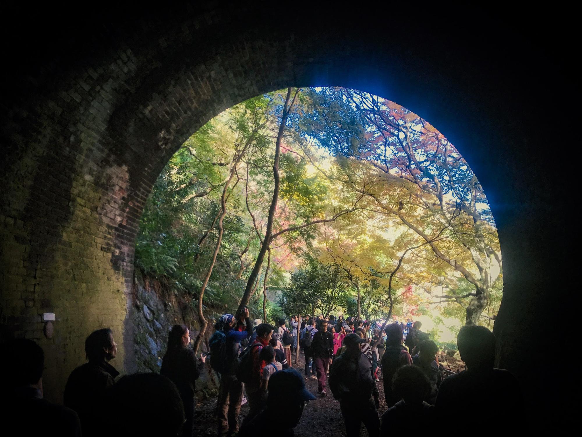 9日だけ見られる秋の絶景。「愛岐トンネル群 秋の特別公開」に行ってきました！