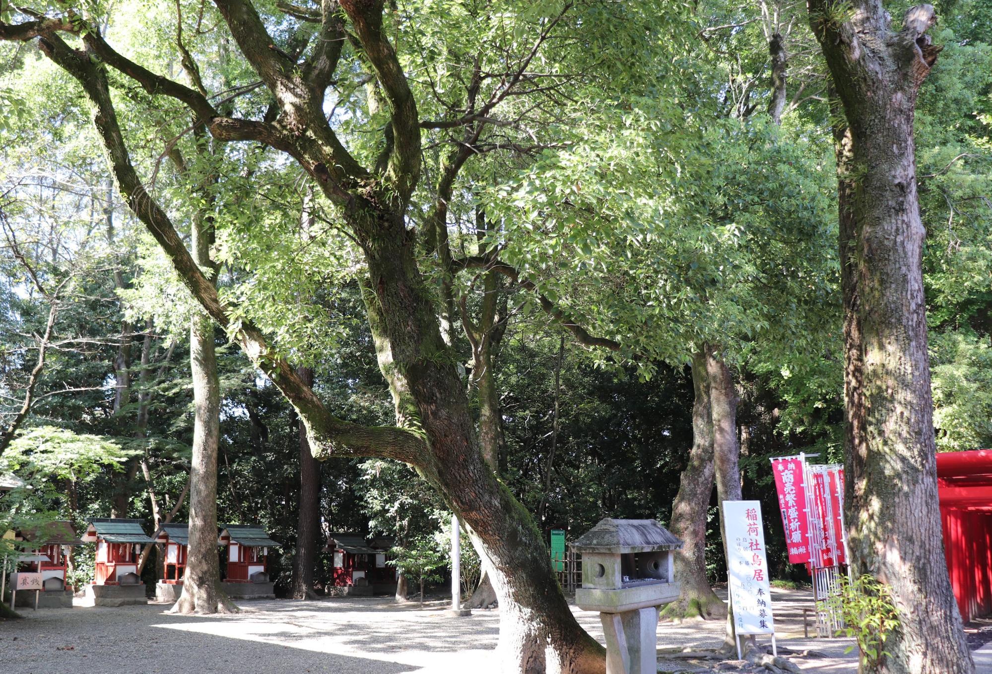 津島神社