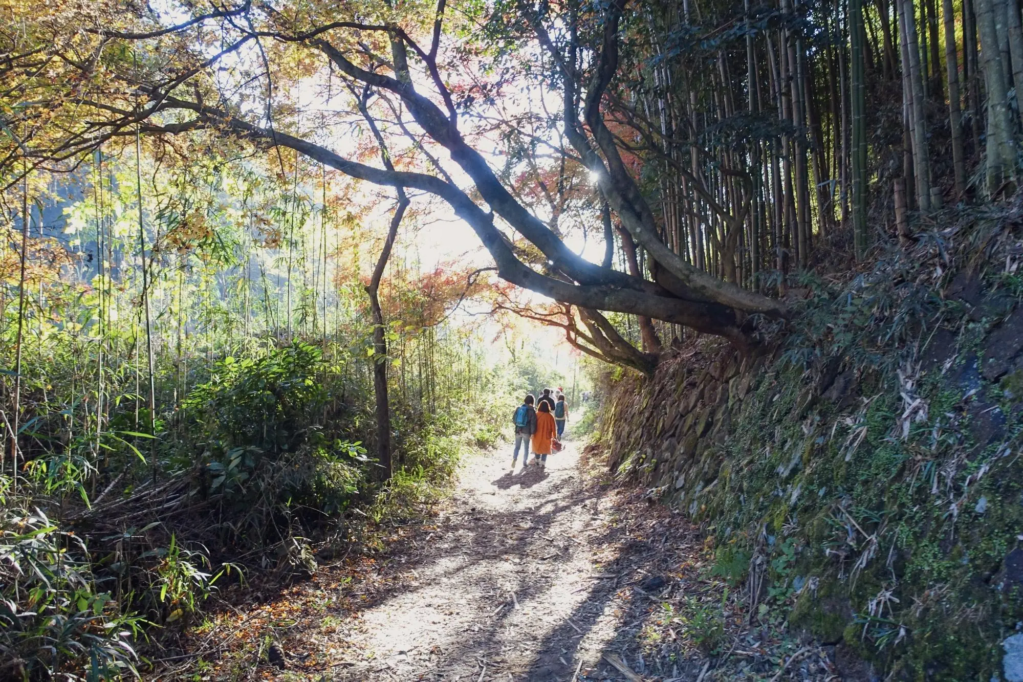 玉野古道