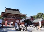 疫病除けの「津島神社」でご利益アップを！