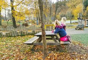 【スウェーデンの暮らし】紅葉が彩る スウェーデン秋の日常