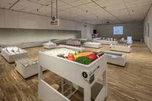 ついに愛知にやってきた!豊田市美術館で開催中の「デザインあ展」のみどころをご紹介