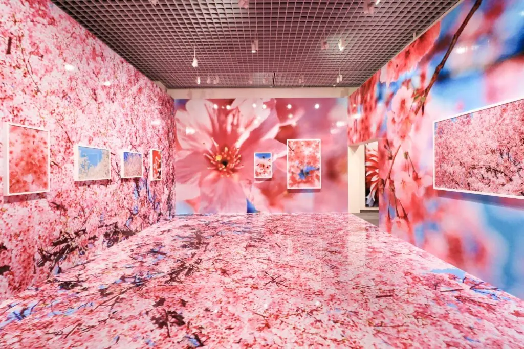 【レポート】蜷川実花の展覧会が松坂屋美術館にて開催!「蜷川実花展 ー虚構と現実の間にー」