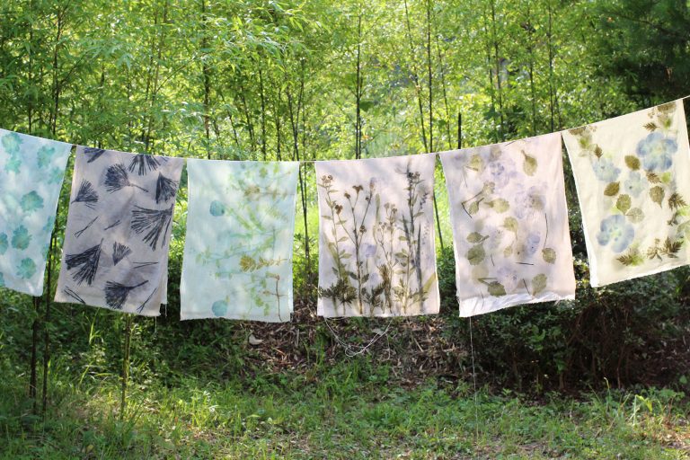 自然の持つ魅力に出会える、”アトリエ hitotema”へ！