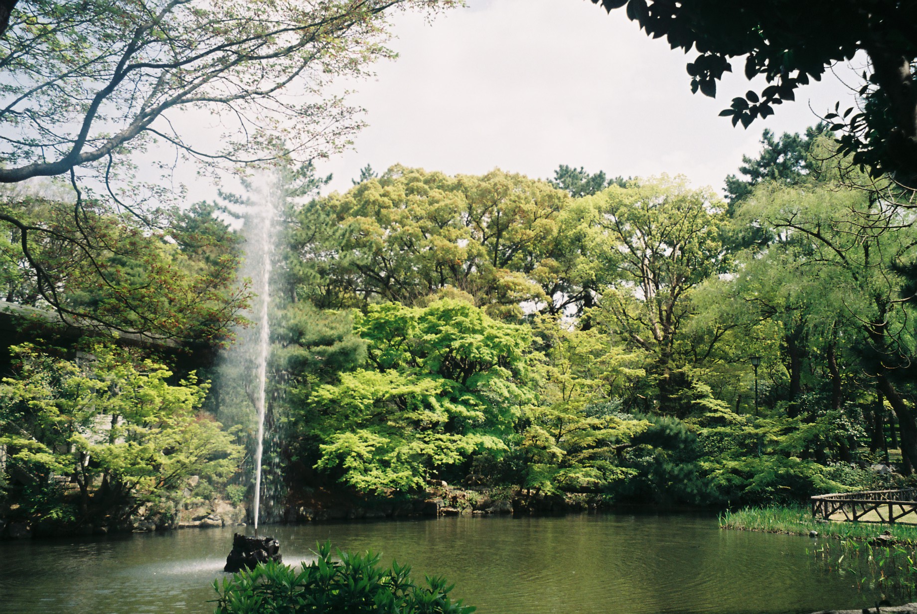 名古屋　フィルムカメラ