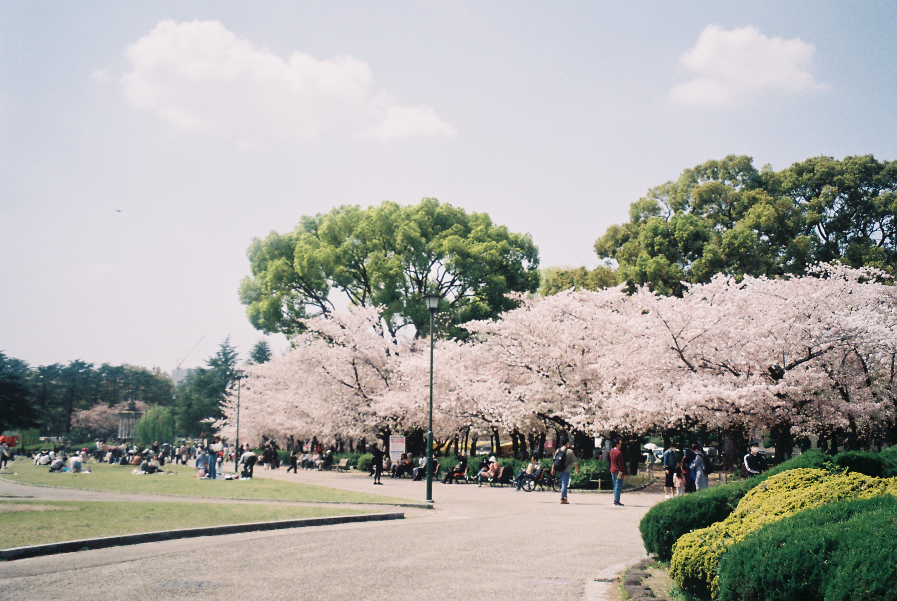 名古屋　フィルムカメラ