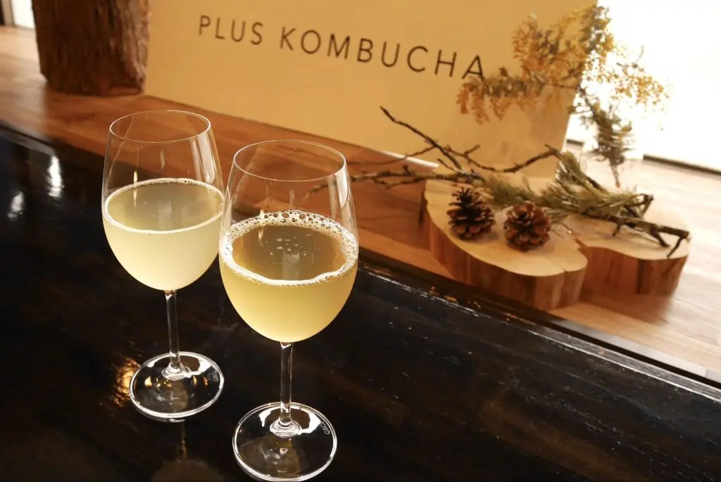 美容・健康・腸活にも。体よろこぶ発酵ドリンク・コンブチャのお店「+kombucha(プラスコンブッカ)」