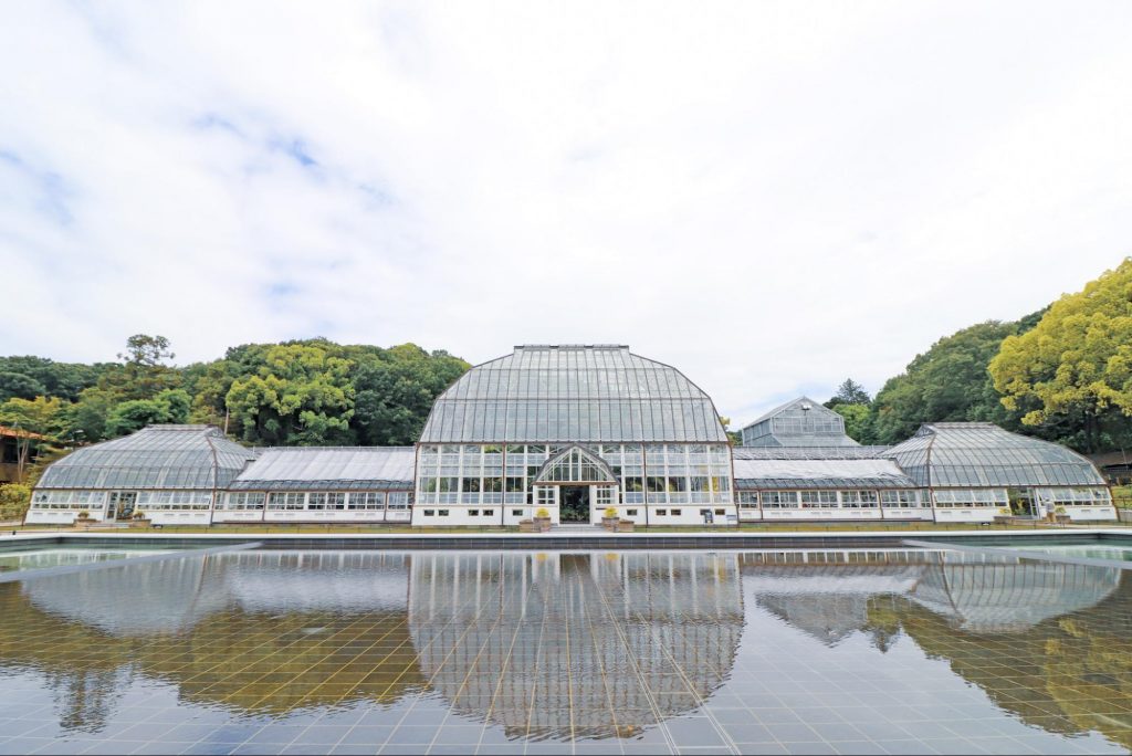温室前館がリニューアルオープン。「東山動植物園」で、植物を楽しもう！