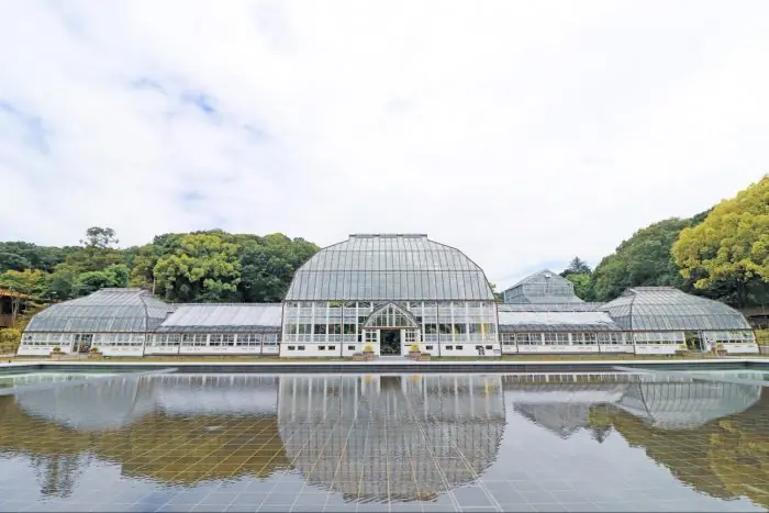 温室前館がリニューアルオープン。「東山動植物園」で、植物を楽しもう!