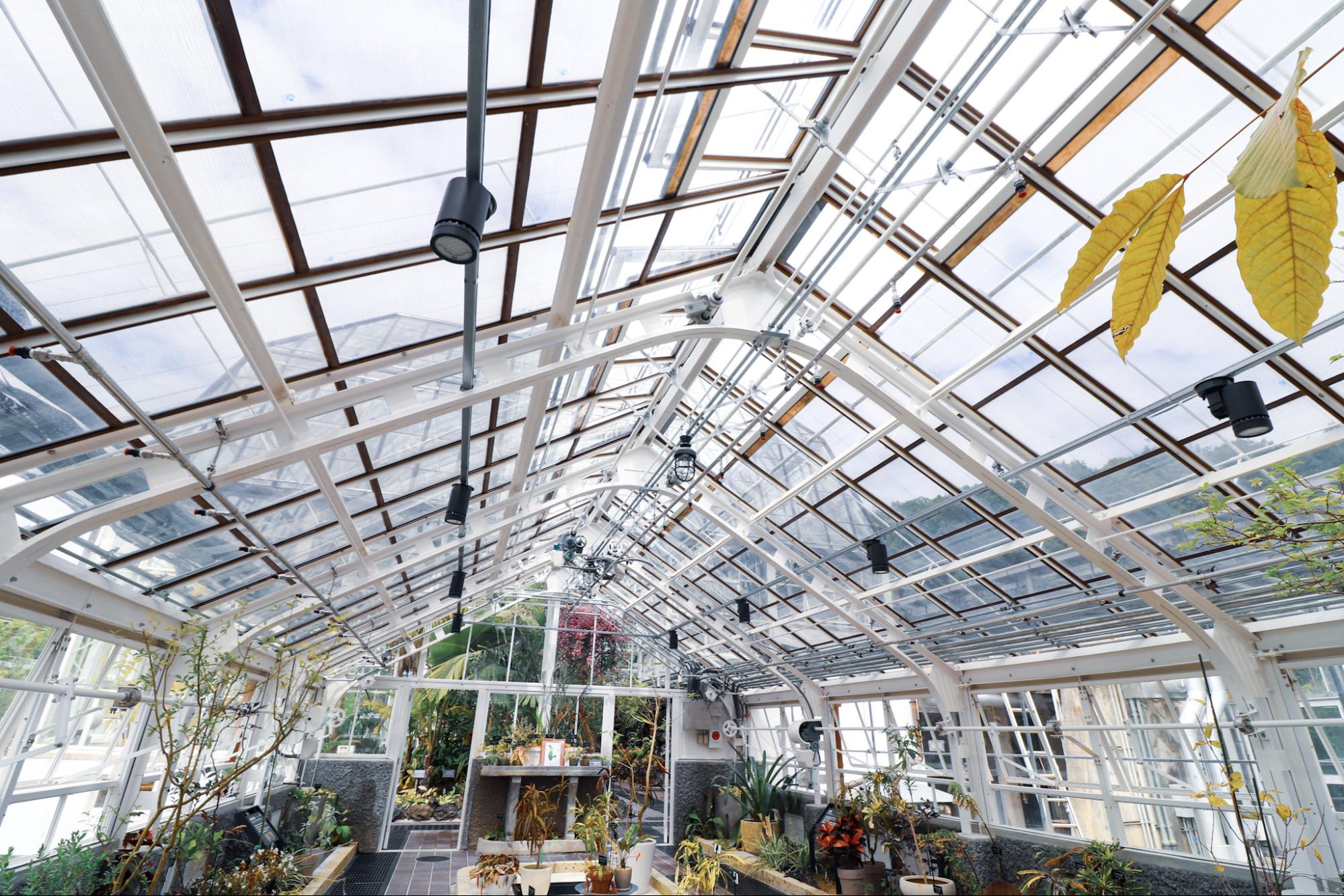 温室前館がリニューアルオープン 東山動植物園 で 植物を楽しもう ライフデザインズ