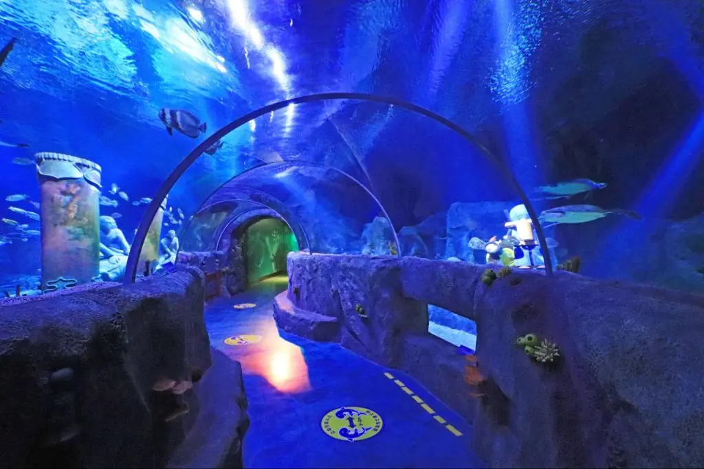 Play and learn! SEA LIFE Nagoya, an aquarium surrounded by LEGO blocks