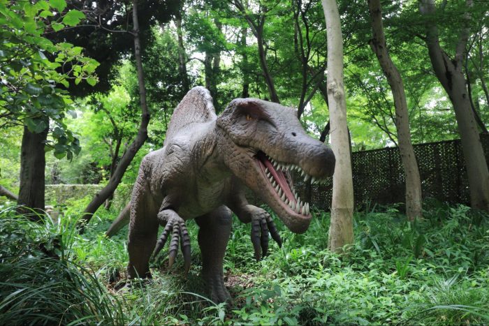 安城“Denpark Dinoland”有恐龙出现