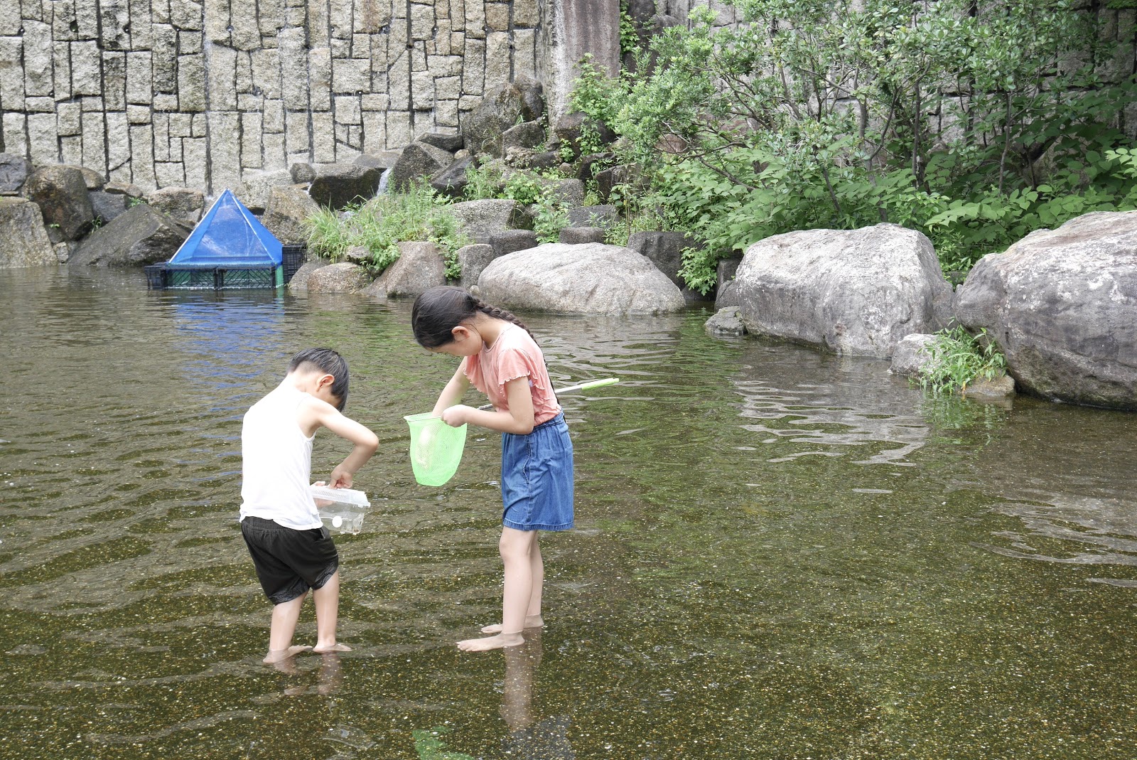 虹の滝