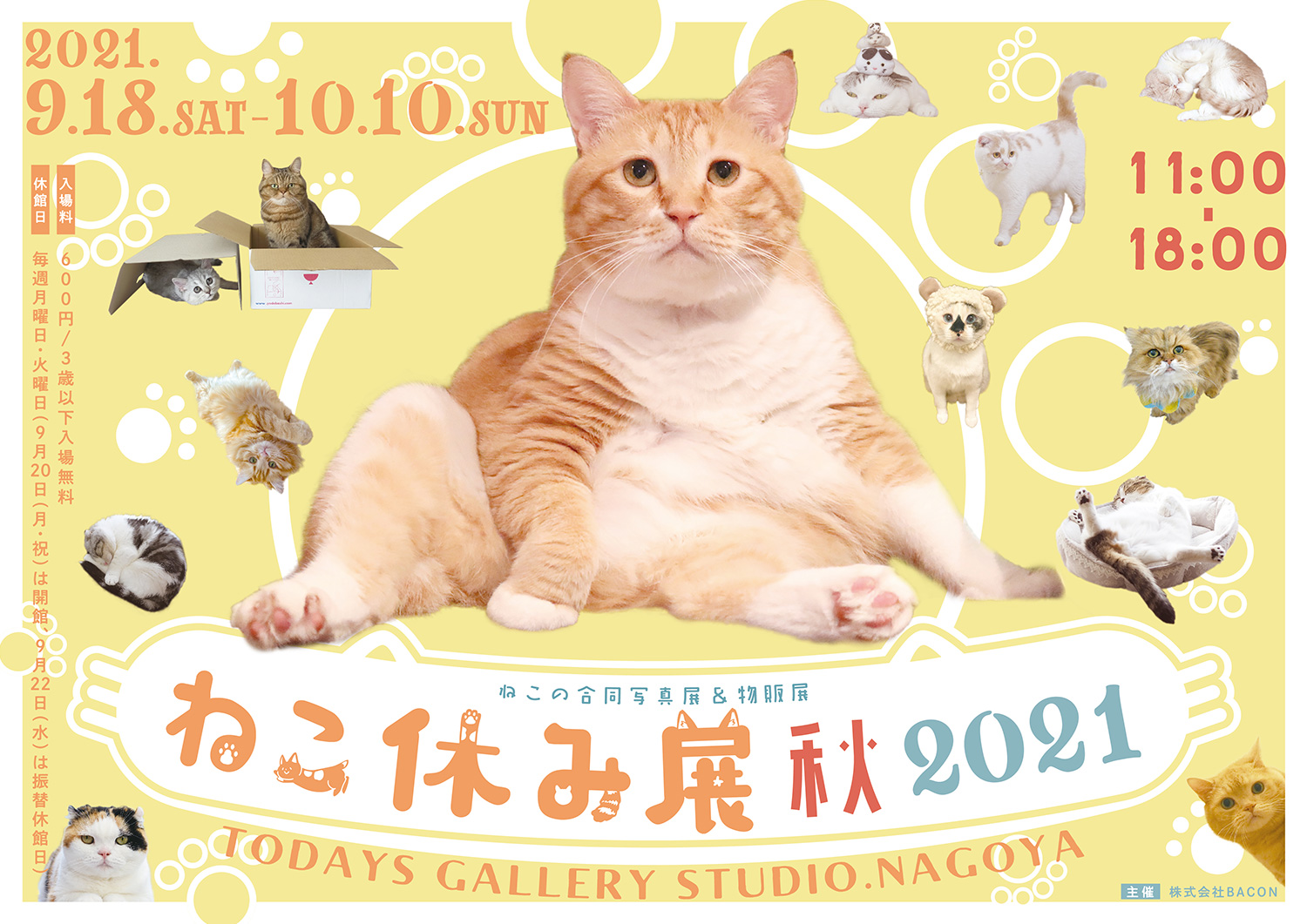 人気の猫クリエイターが集結する合同写真展&物販展の「ねこ休み展 秋 2021」