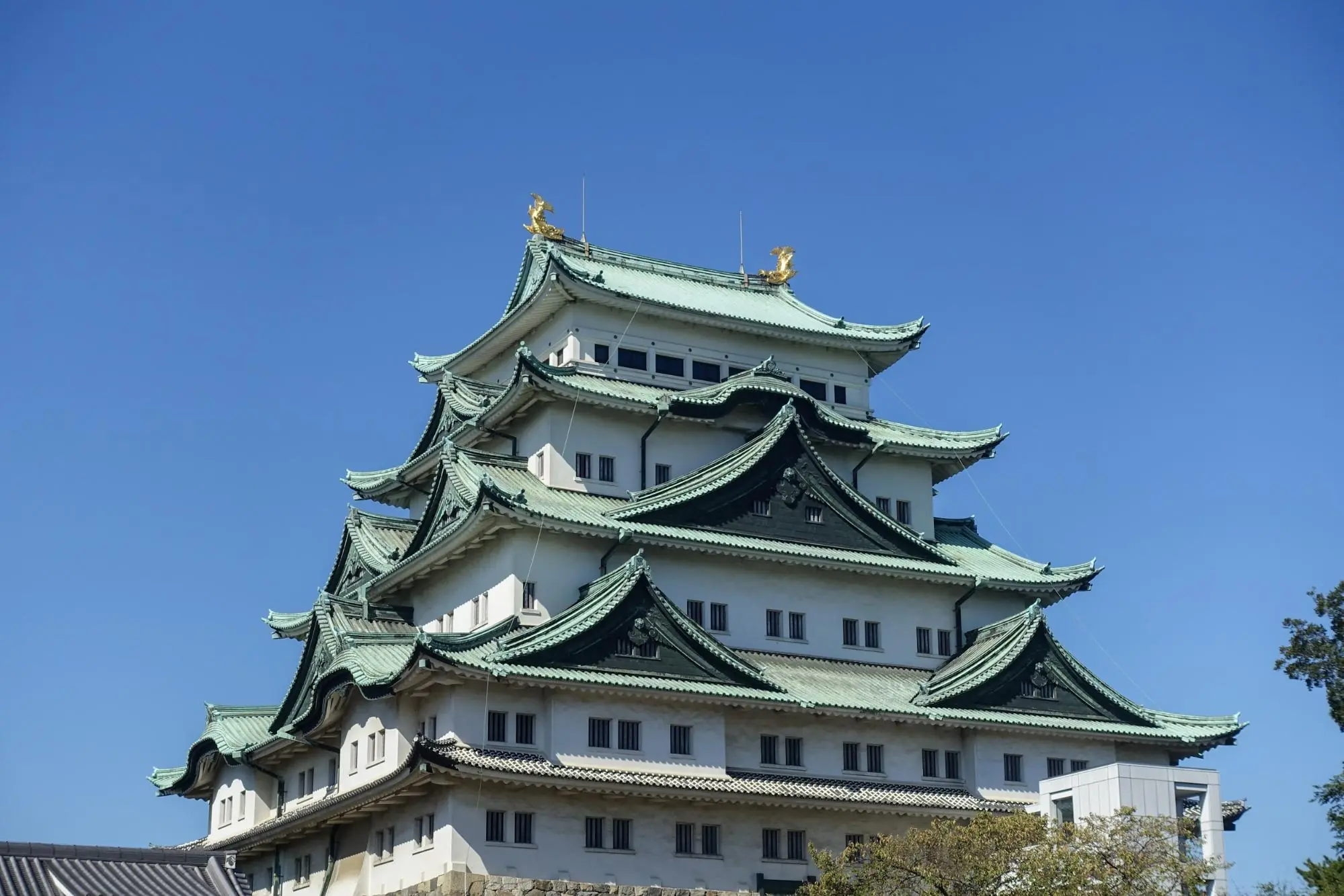 5 Key Points to Enjoy Nagoya Castle! Report on Must-See Highlights from Honmaru Goten to Gourmet Delights!