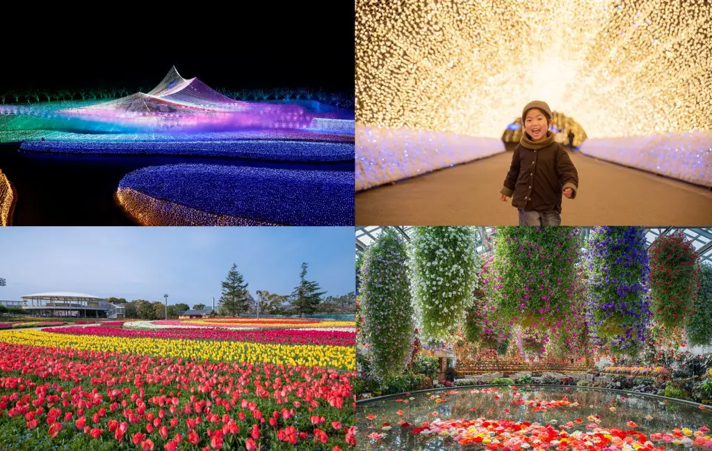 夜はきらめきの絶景、昼は花々の絶景が楽しめる「なばなの里」へ行ってきました!