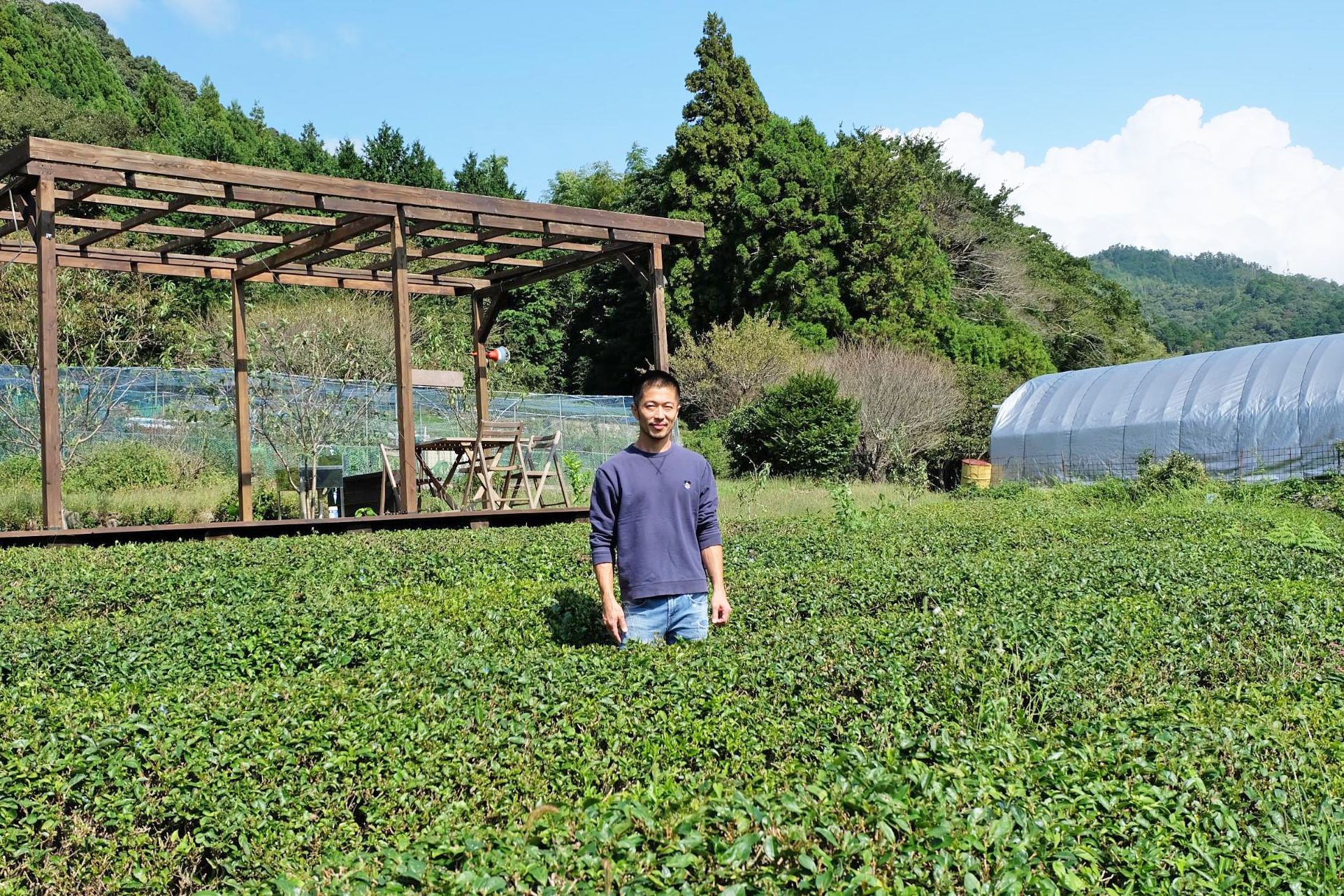 お茶農家「宮ザキ園」