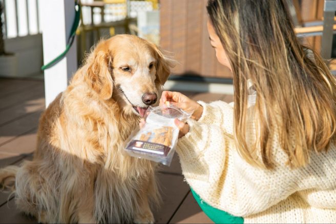 大切なワンちゃん＆ネコちゃんに食べさせたい。完全無添加の愛情を込めた手づくりフード「嘉（よろこび）」