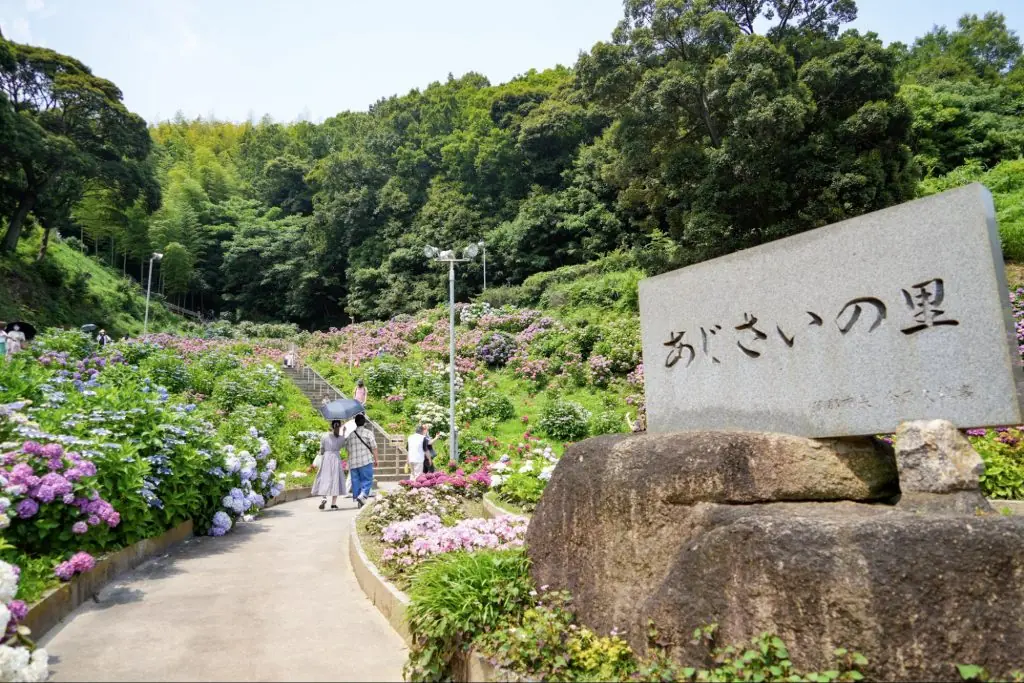 Katahara Onsen "Ajisai no Sato," where 50,000 hydrangeas bloom in profusion at "Hydrangea Festival"