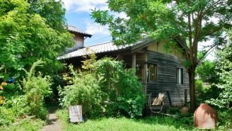 自然と一つになれる武豊町のオーガニックカフェ「ゆらぎ -yuragi-」。懐かしく心地よい空間で過ごすひととき