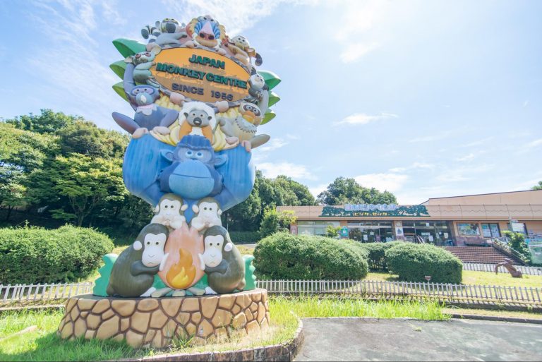 「サルをみて人を学ぶ！」世界屈指のサル類専門の動物園『日本モンキーセンター』