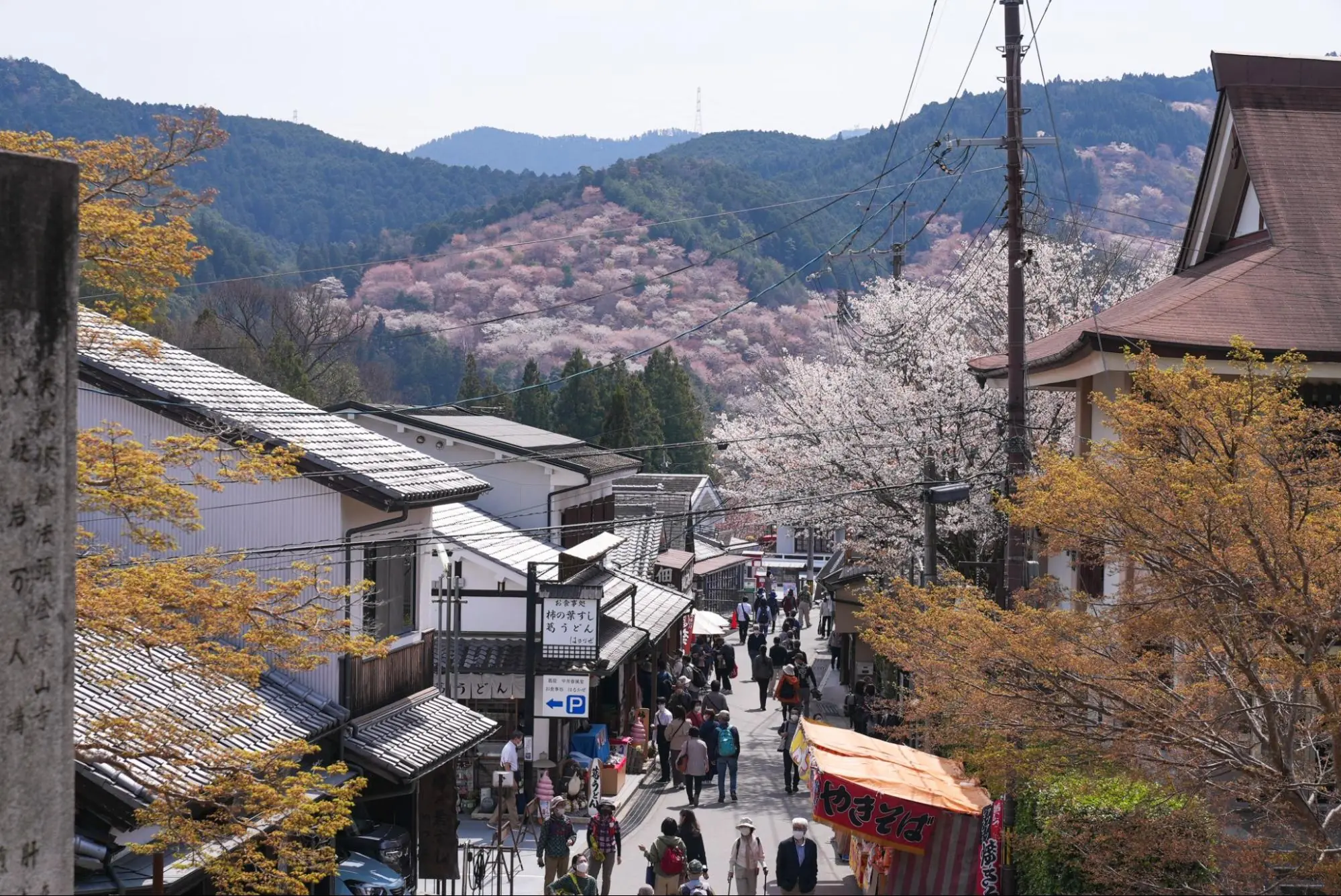 人生で一度は行きたい！ 奈良県・吉野山の桜をたのしむ癒し旅