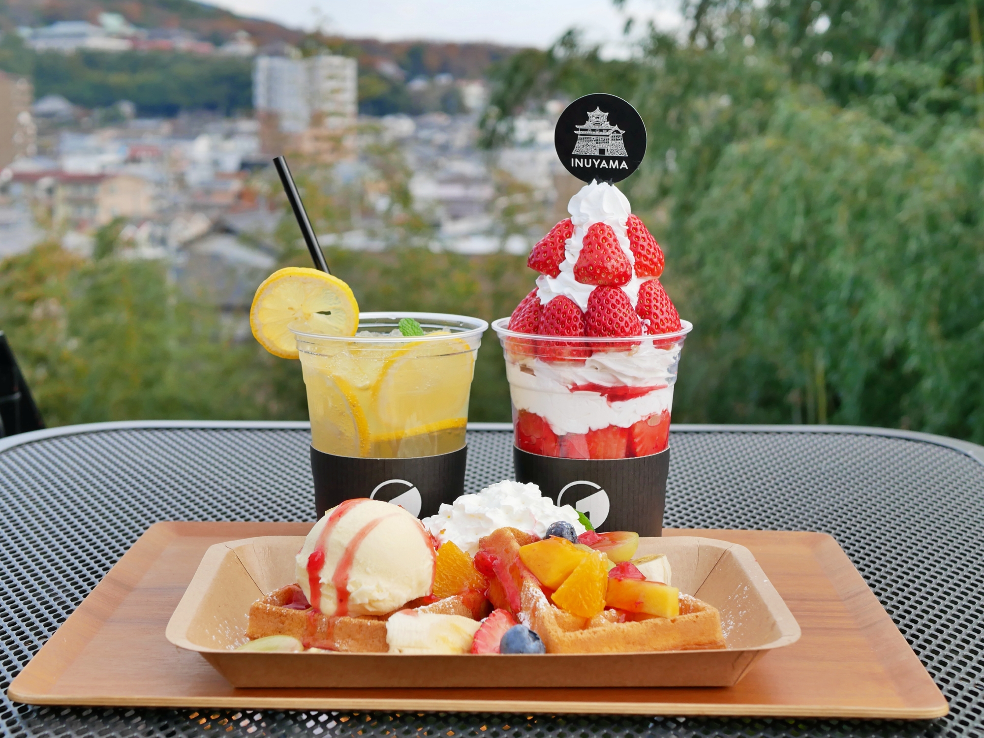 Enjoy seasonal fruits on the spacious terrace of 1st TERRACE INUYAMA, the closest cafe to Inuyama Castle!