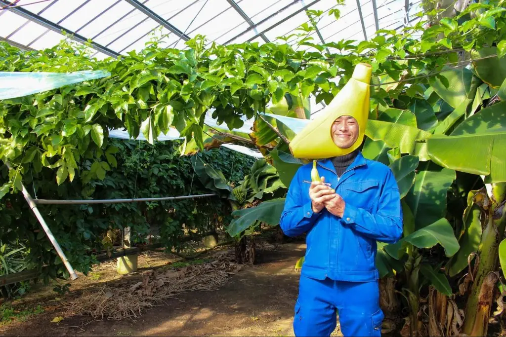 副園長の佐藤さん。バナナメンとして皆さんを出迎えてくれますよ。