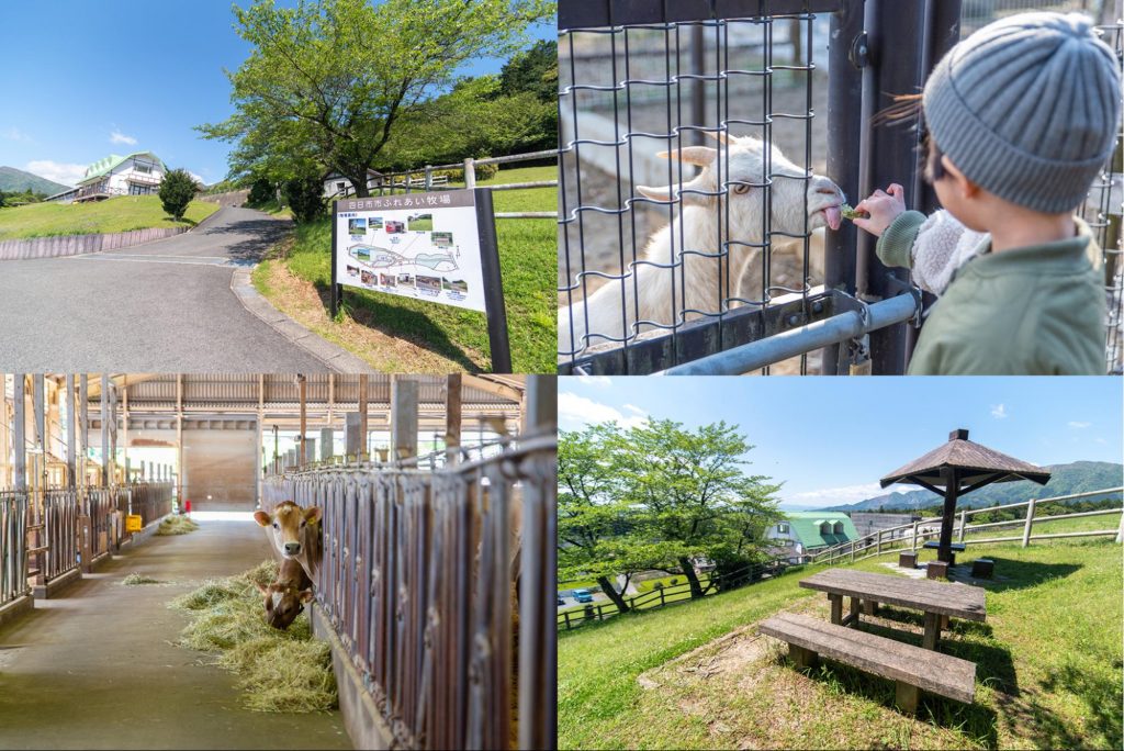 ファミリーにおすすめ!超穴場のアットホームな牧場で動物たちに癒やされる「四日市市ふれあい牧場」