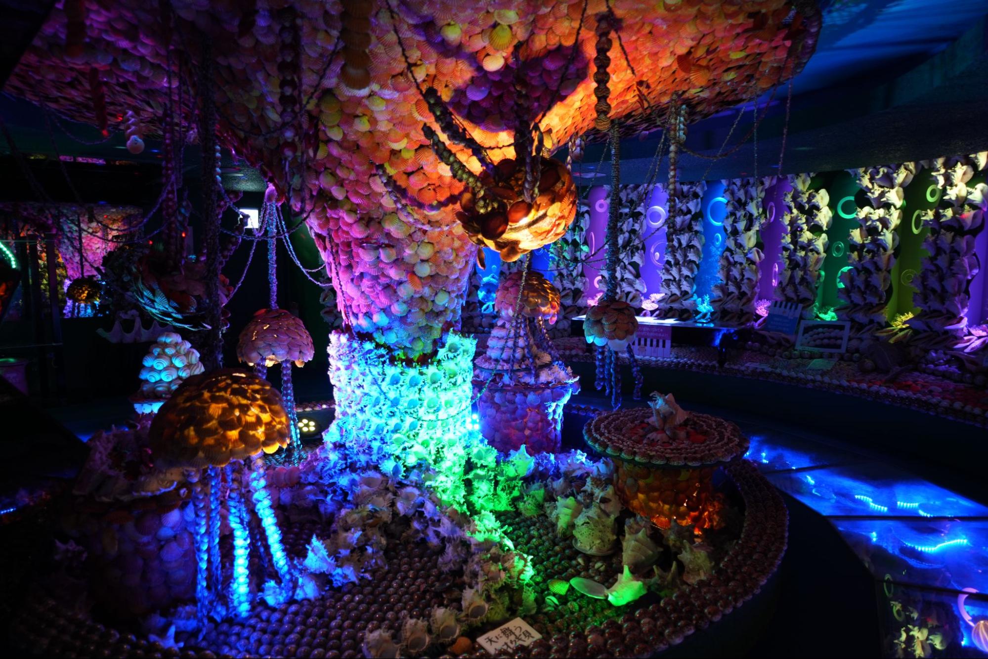 蒲郡にある魅惑のスポット！貝殻のテーマパーク「竹島ファンタジー館」へ行ってきました