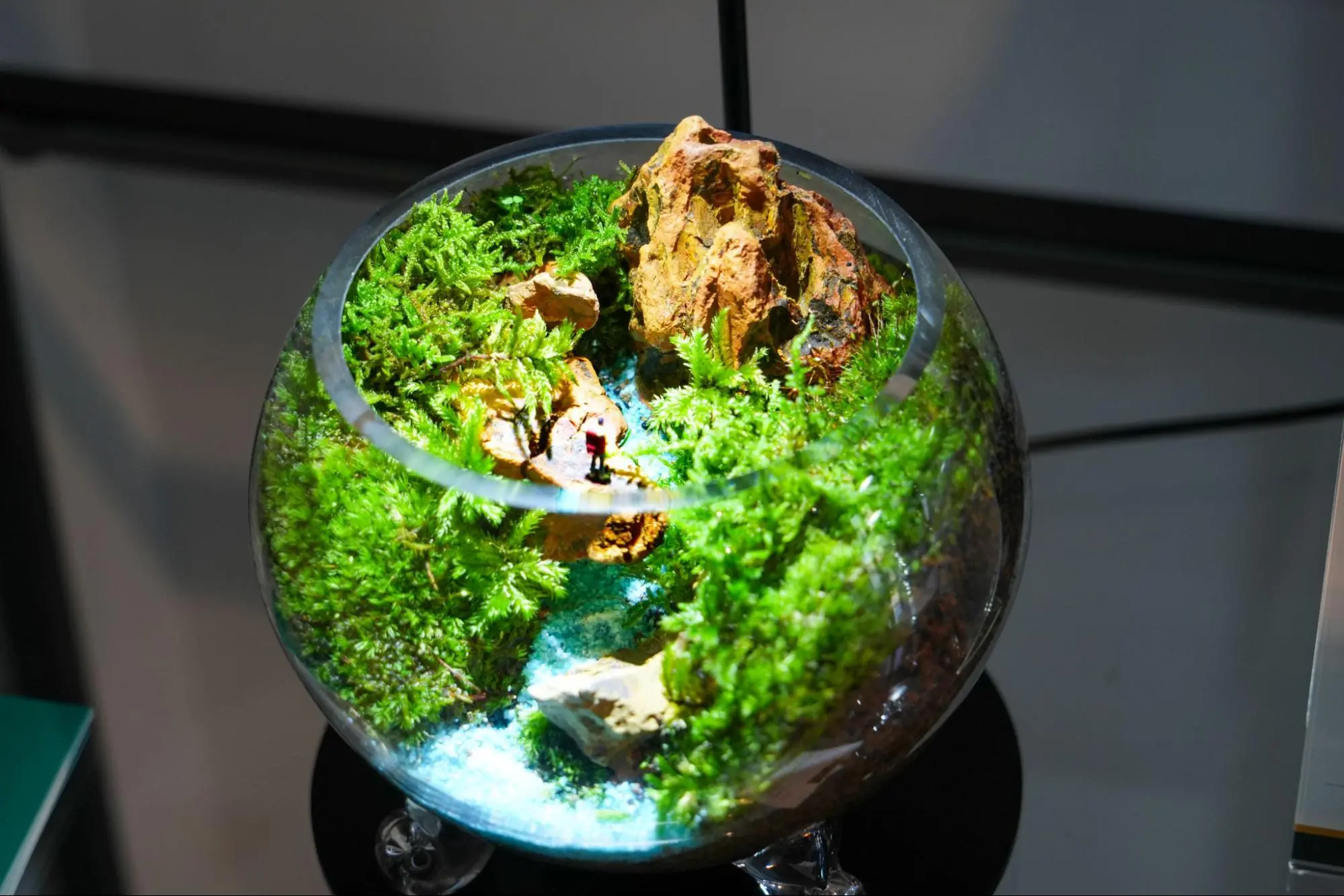 【名古屋】テラリウム専門店「THE GREEN 〜moss design〜」で、苔テラリウムのワークショップを体験！