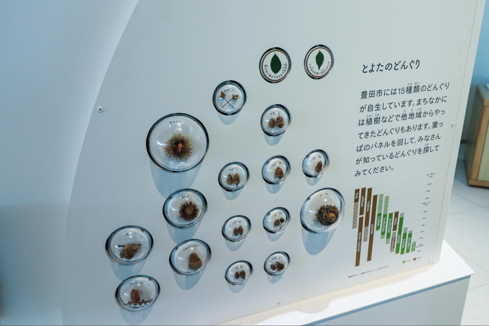 Toyota acorn display