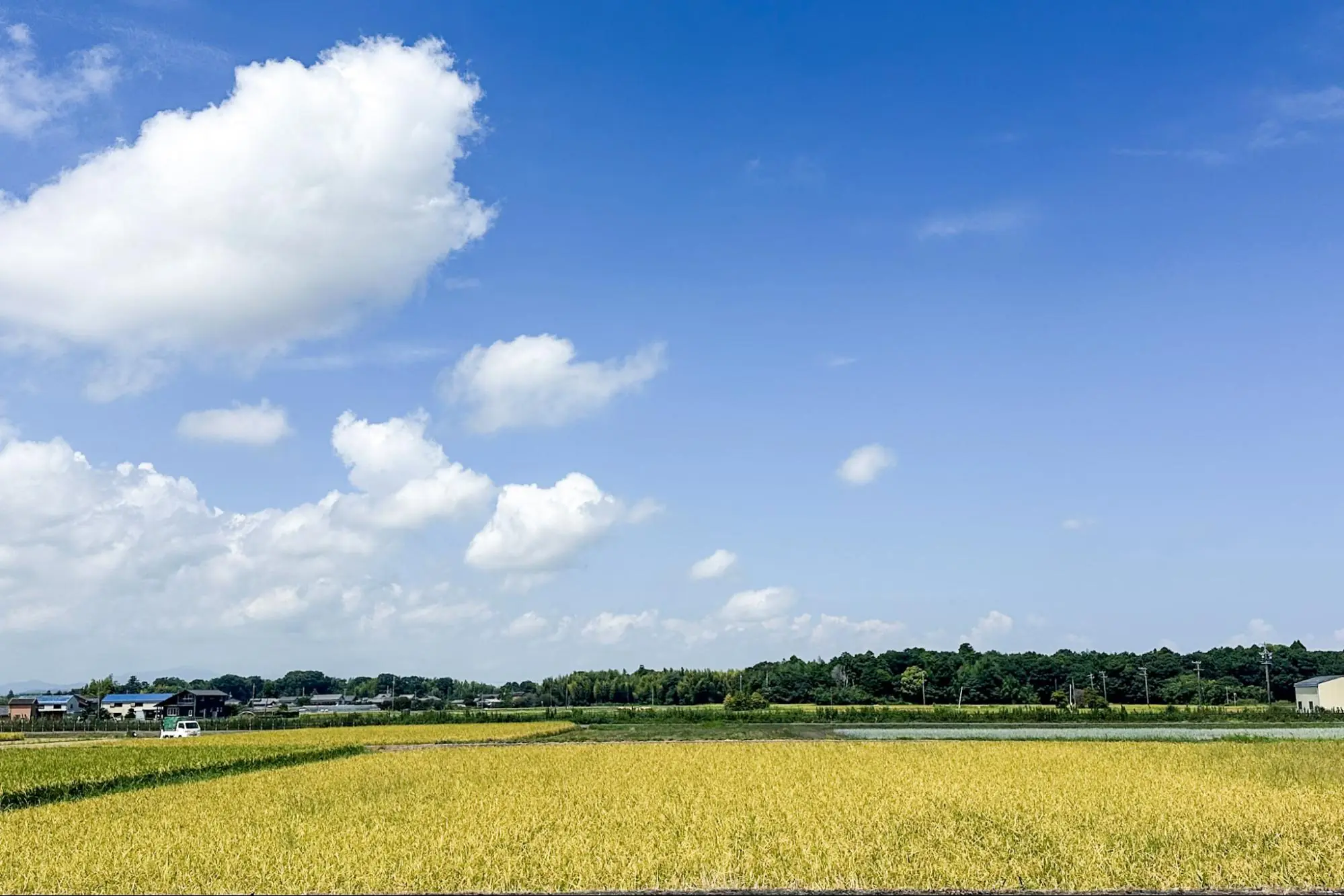 伊勢市上地町ののどかな風景