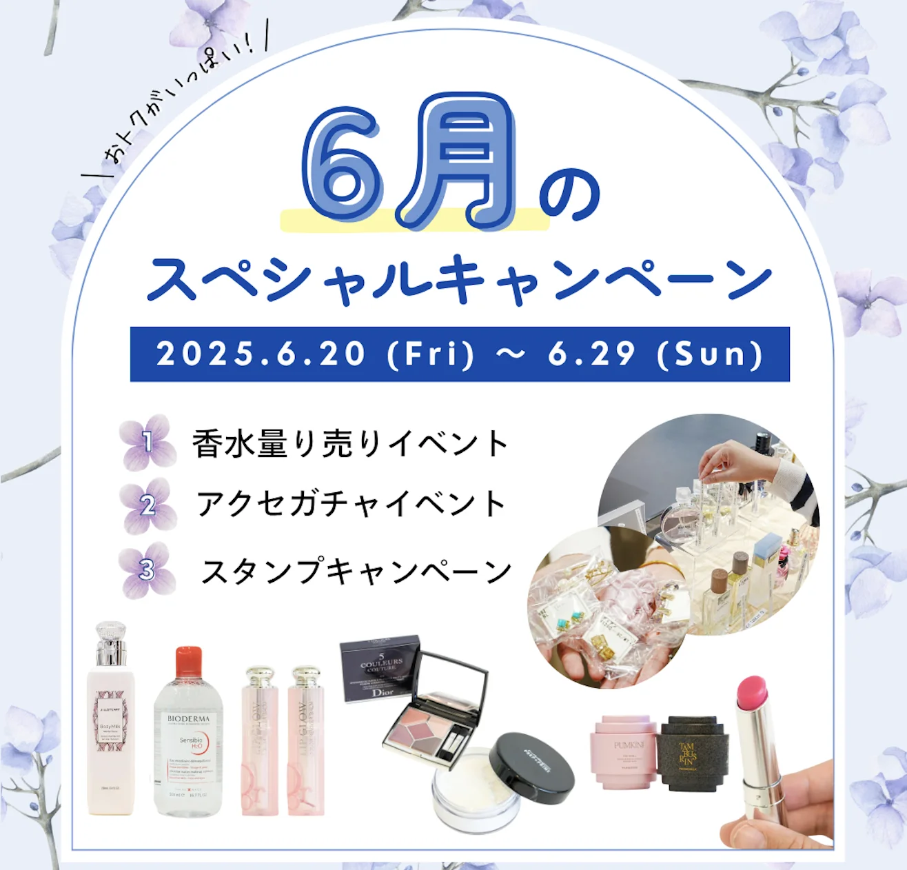 【アレックスコンフォート】6月の特別キャンペーン(6/20〜6/29)