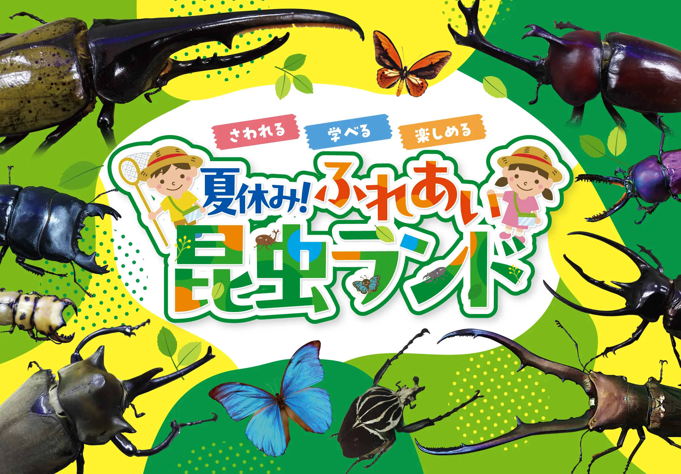 【夏休みの自由研究にも!】“さわれる・学べる・楽しめる”昆虫展「ふれあい昆虫ランド」が星ヶ丘三越で開催