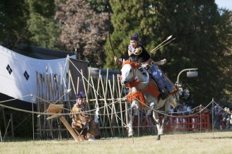 2026年は午年！愛知県内の「馬」にゆかりのある神社で開運祈願をしよう。