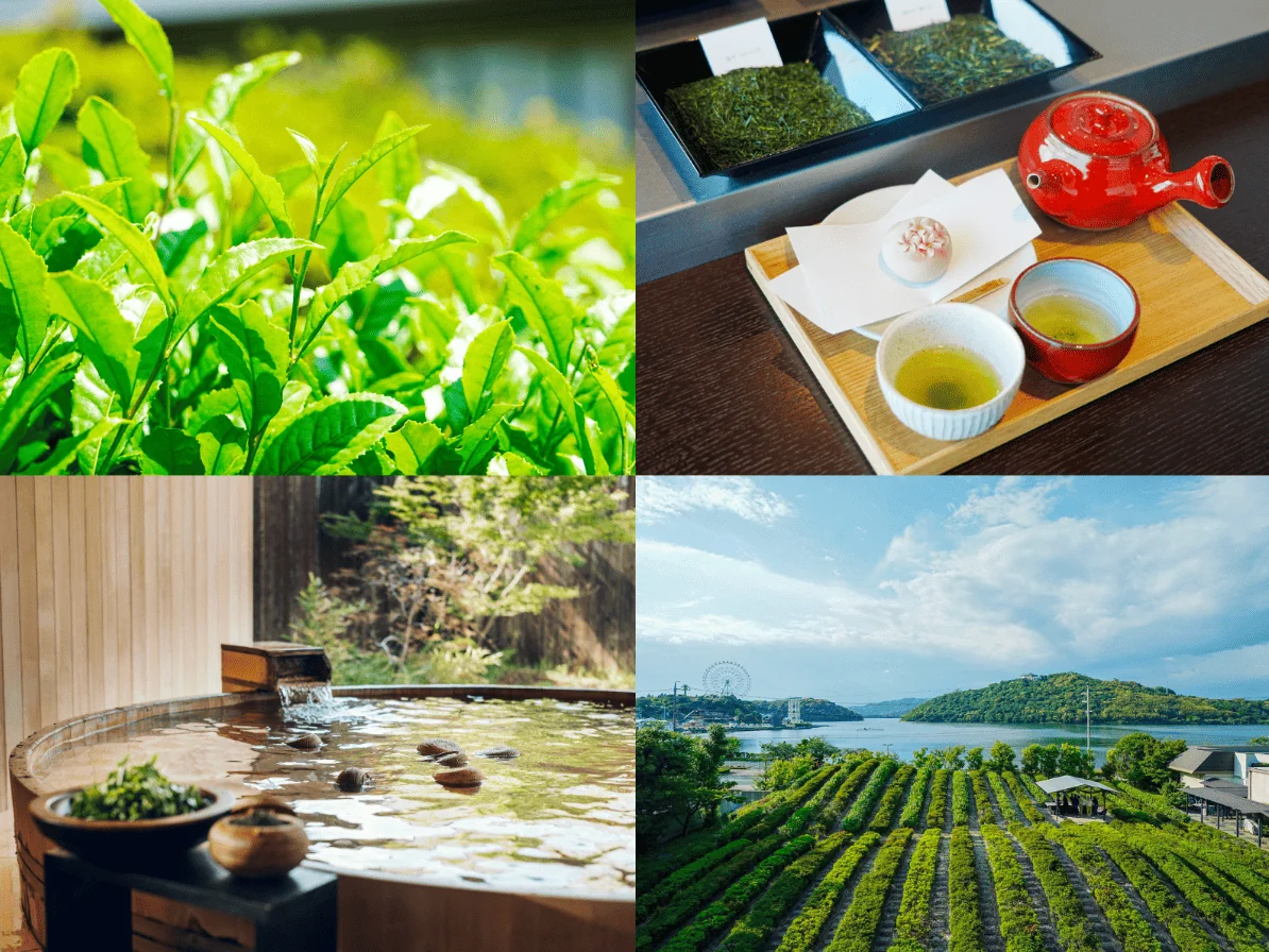 【宿泊レポ】浜名湖を望む温泉旅館「界 遠州」で、お茶の奥深さにふれる1泊2日旅
