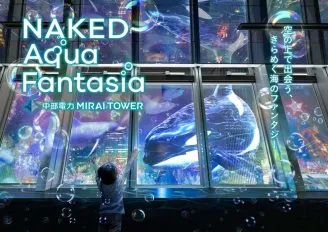 夏限定の没入型360度プロジェクションマッピング「NAKED AQUA FANTASIA」